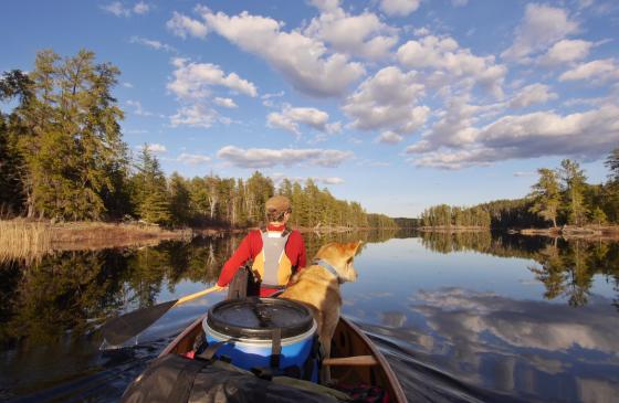 Photo of Amy Freeman canoeing with a dog sitting behind her in the boat
