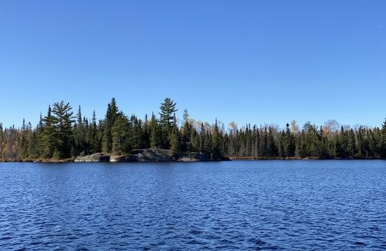 Photo of island in Boundary Waters