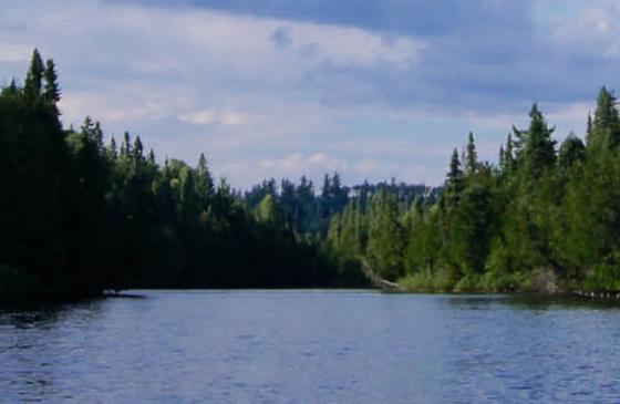Photo of Boundary Waters with STBW logo on left and text above reading "How to write a letter-to-the editor"