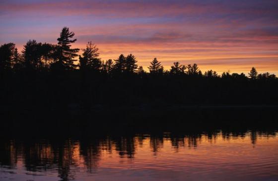 Photo of purple and orange sunset with tree silhouettes reflecting on the water