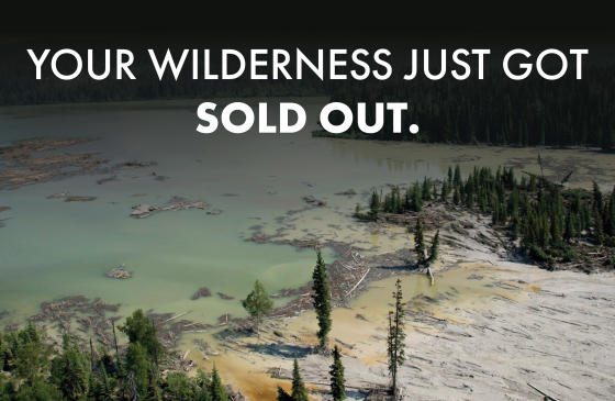 Image of dark wilderness with the text "Your Wilderness Just Got Sold Out"