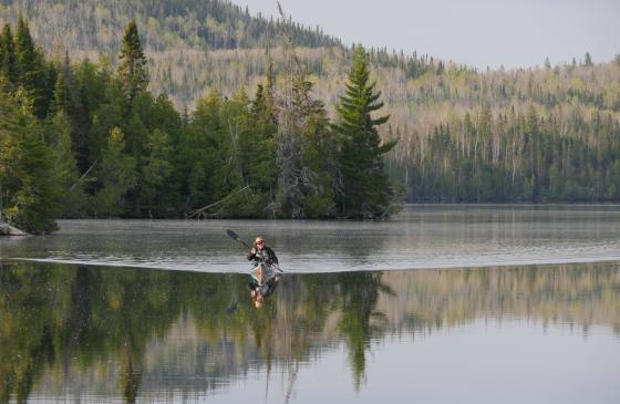 Photo of person kayaking in still water with trees reflecting on to water