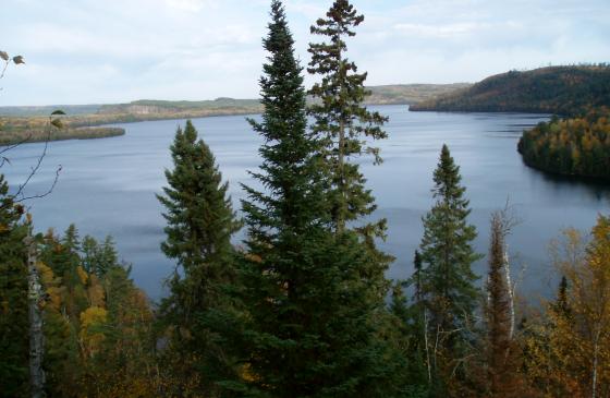 Photo Overlooking Boundary Waters with tree in center of frame