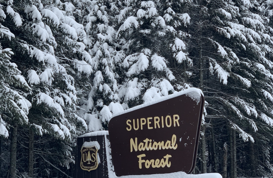 Superior National Forest sign in front of snowy trees
