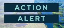 Action Alert