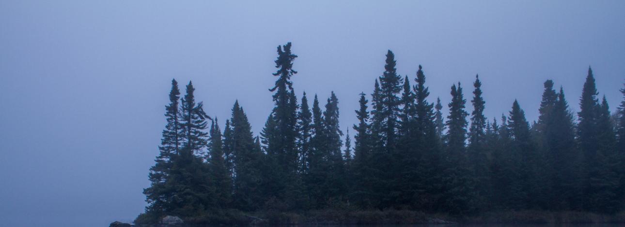 CBS News highlights Save the Boundary Waters