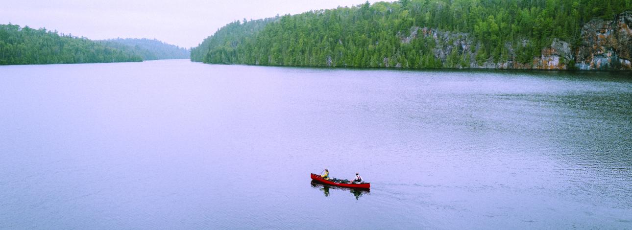 Save the Boundary Waters/NMW Privacy Policy