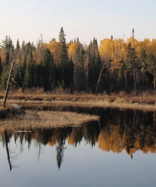 Rainy River Watershed