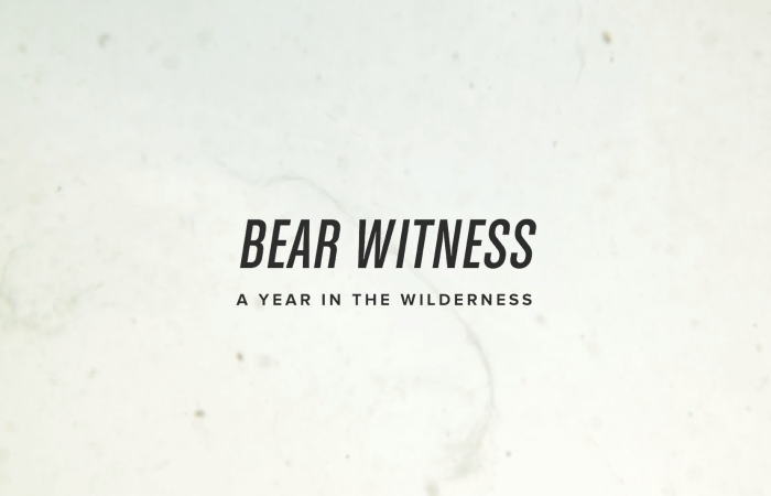 Bear Witness