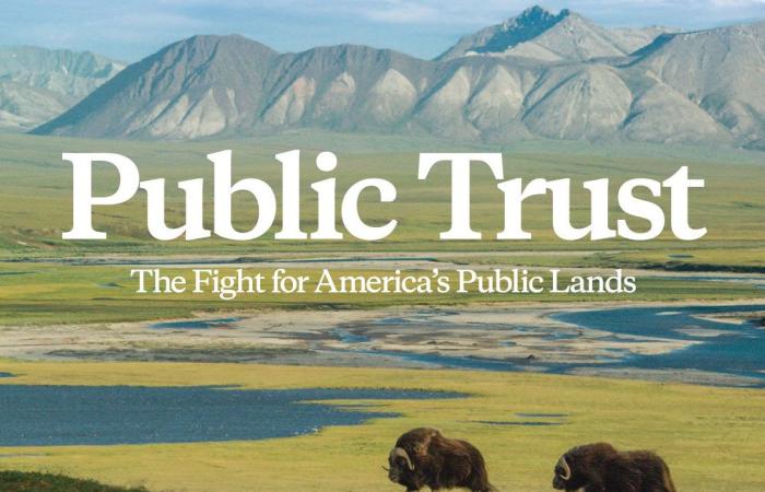 Public Trust